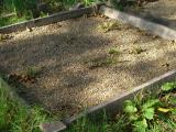 image of grave number 600825